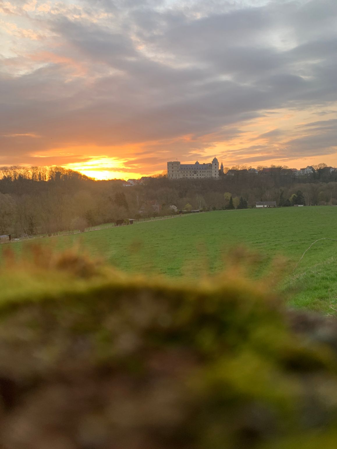 2023-03-30_Michael Ossowski_2